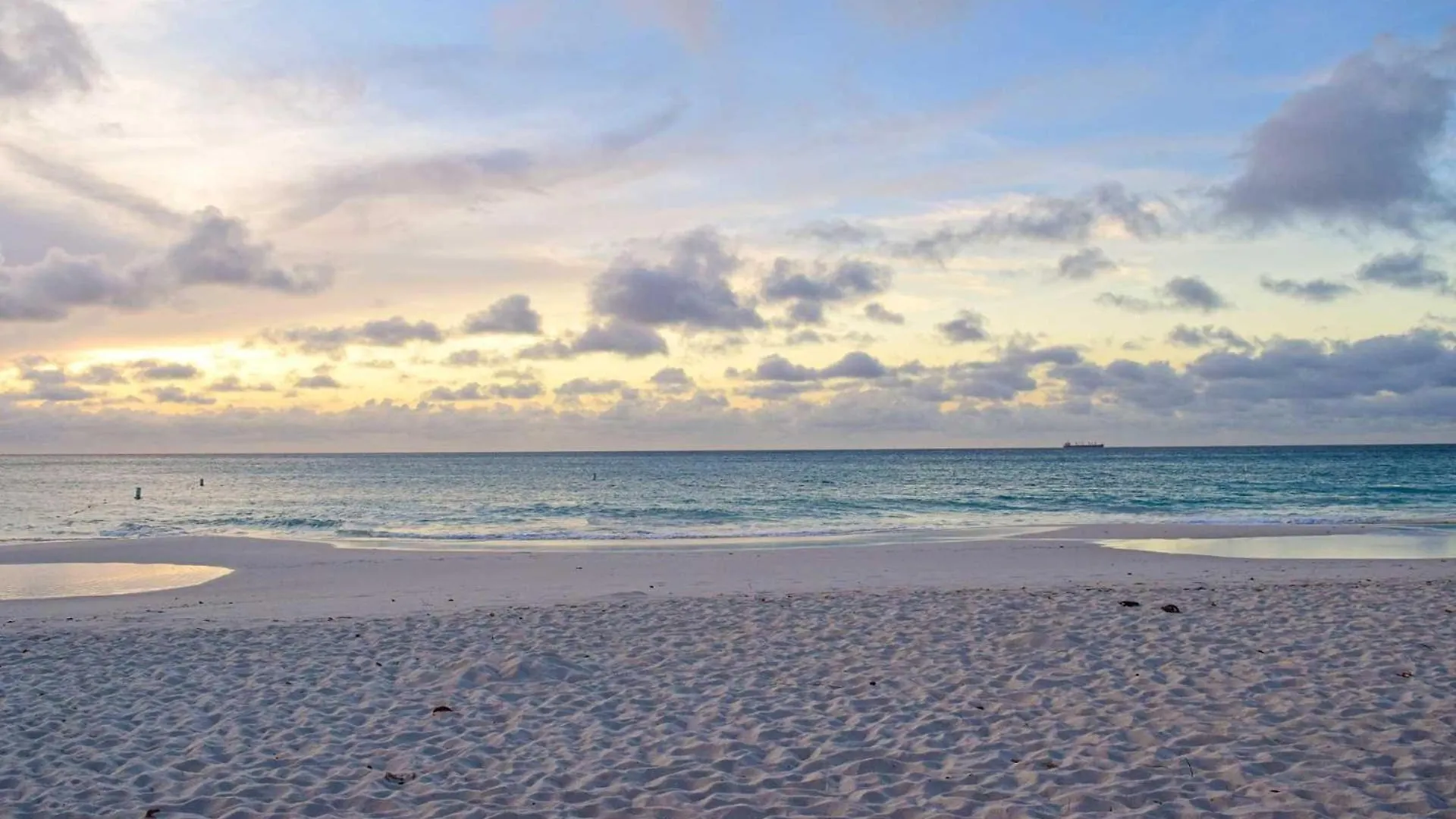Eagle Beach-Private Pool-Paradise Bliss Townhome14 パームビーチ